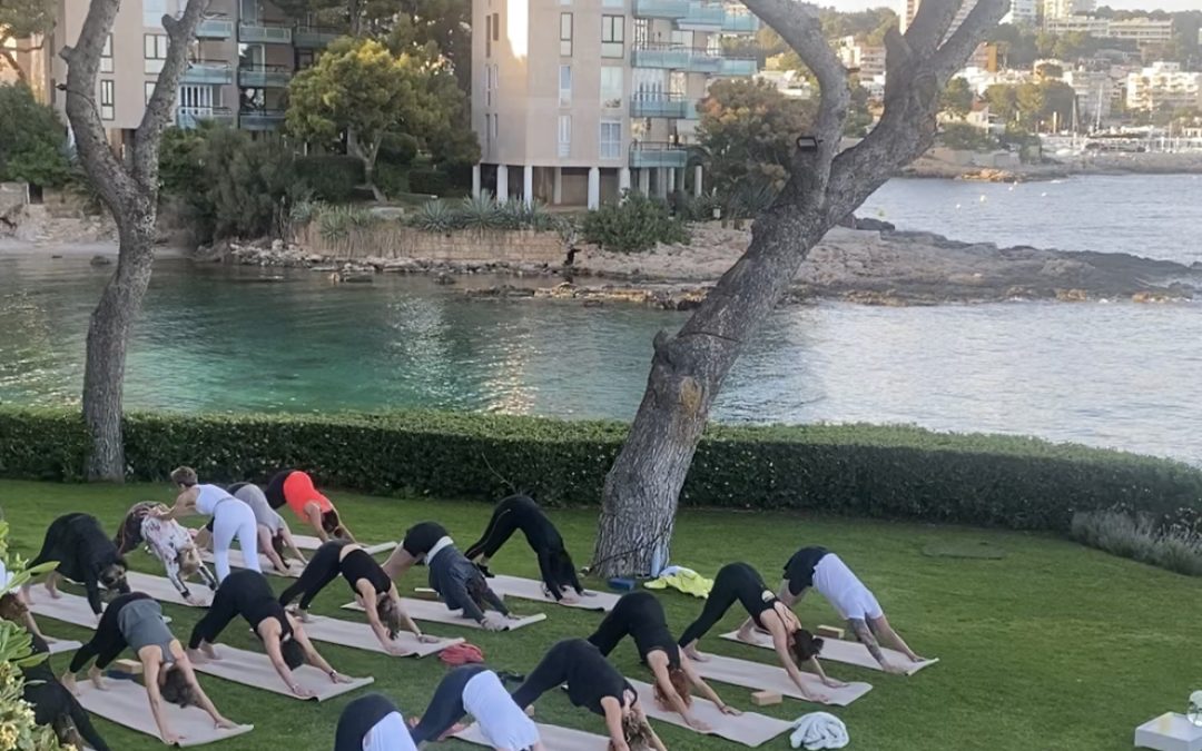 MFY® Mallorca Experience 2023